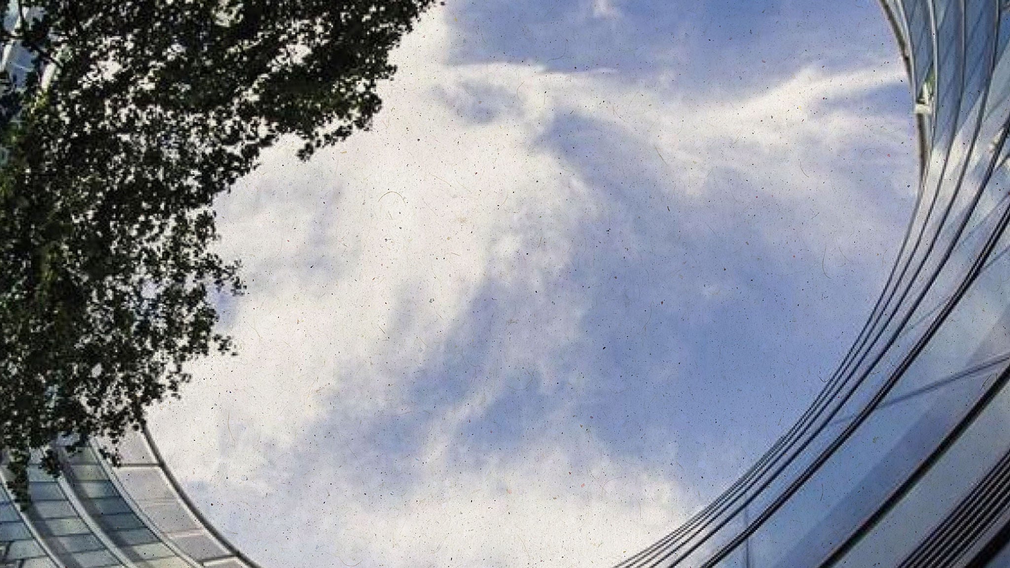 uyu