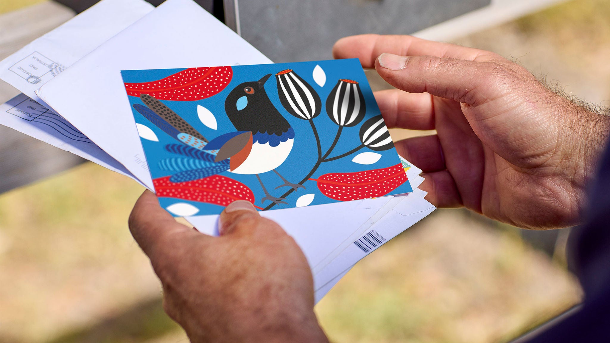 photo-postcard-bird-letters-mans-hands
