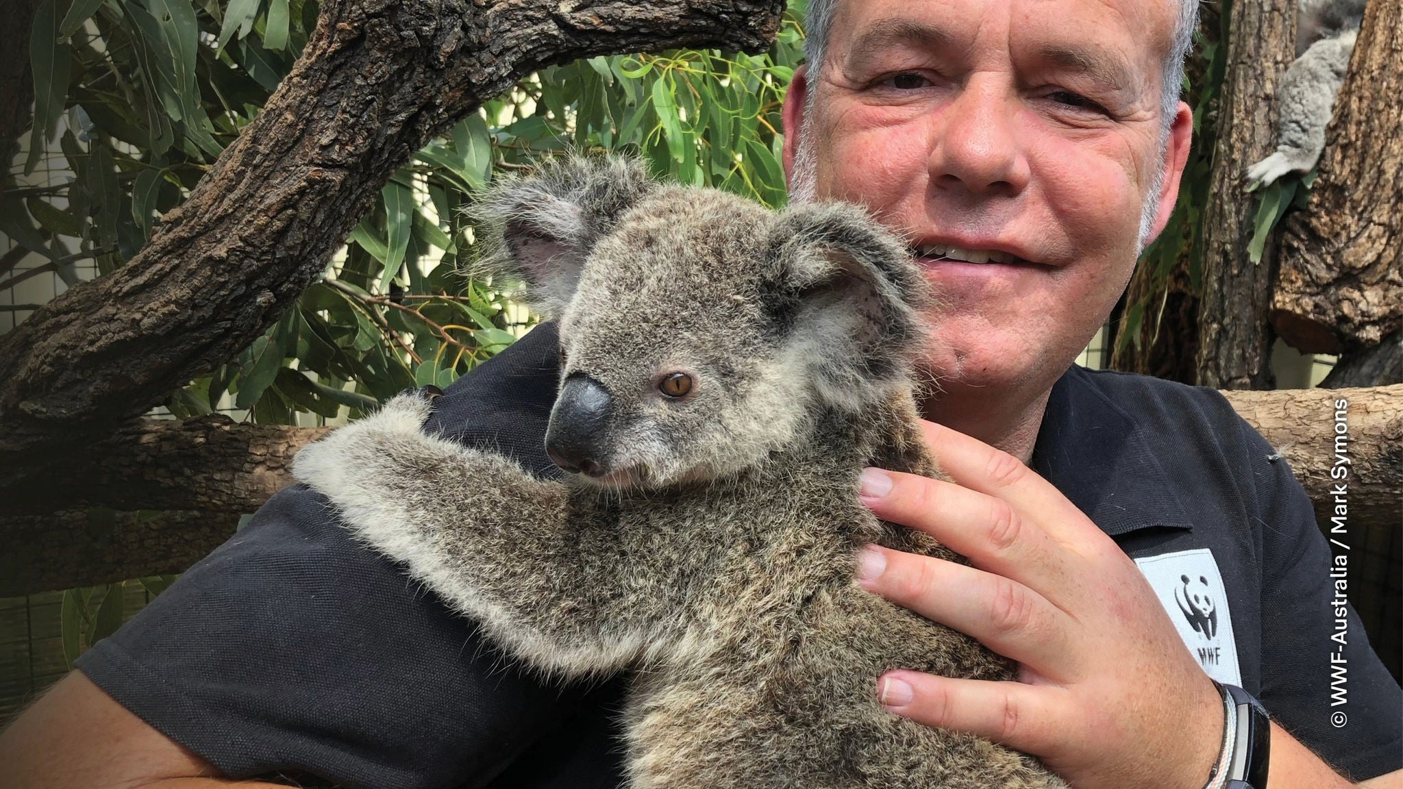 A man holding a Koala