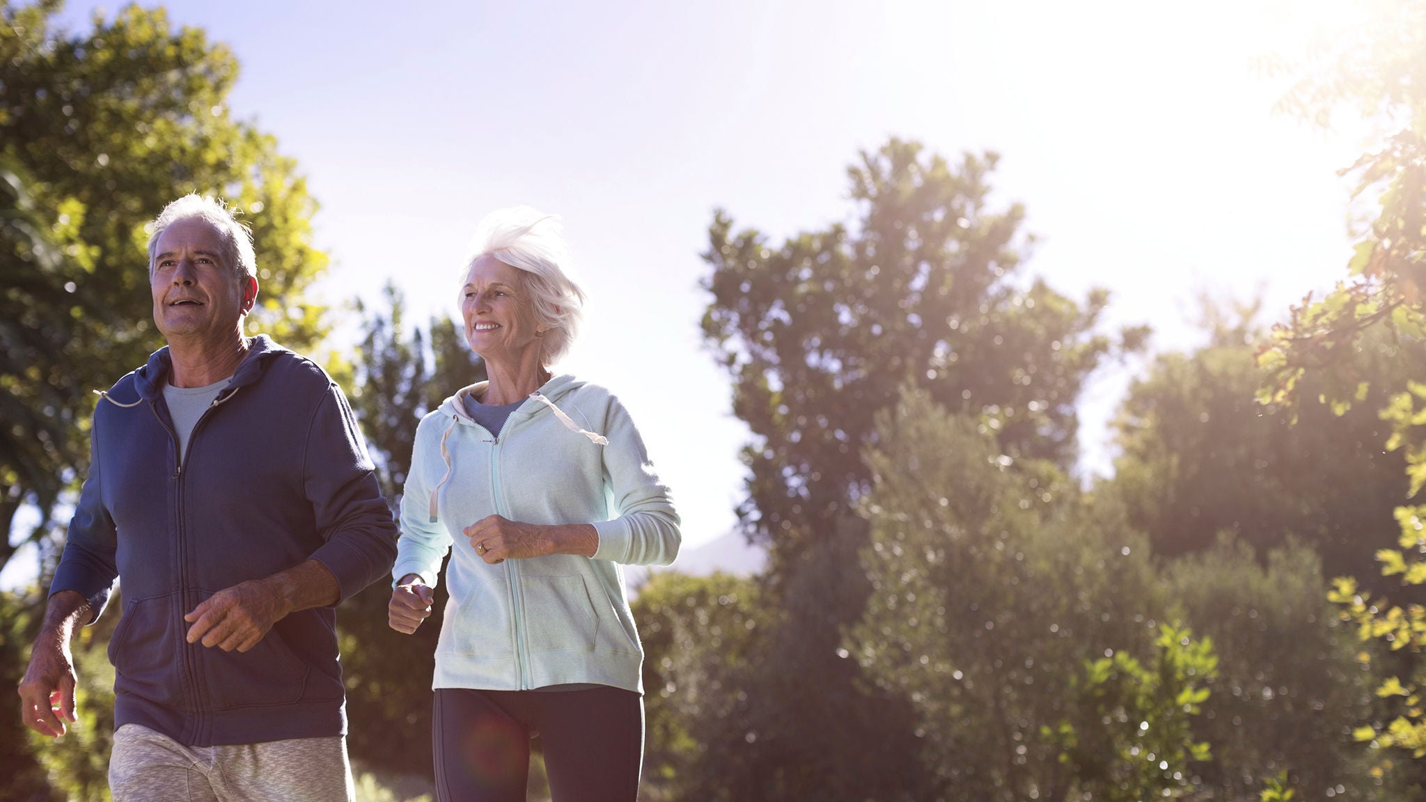 An elderly couple walking in parkland