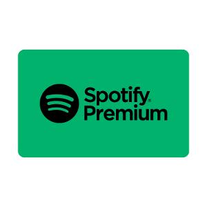 $72 Spotify Premium 6 Month Gift Card product photo