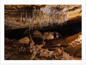 Prepaid Postcard – Naracoorte Cave, SA product photo