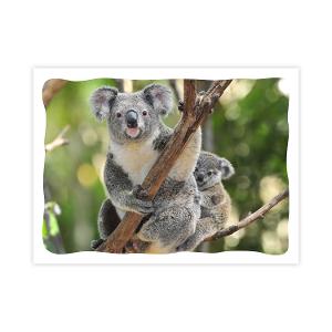 Prepaid Postcard – Koala and Baby product photo