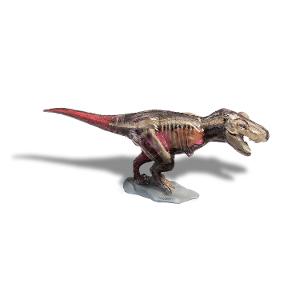 T-Rex Anatomy Kit product photo