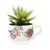 Australian Geographic 'Botanical' Garden Tea Cup Planter – Floral product photo Internal 3 THUMBNAIL