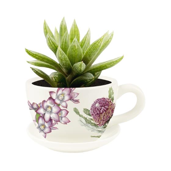 Australian Geographic 'Botanical' Garden Tea Cup Planter – Floral product photo Internal 3 DETAILS