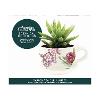 Australian Geographic 'Botanical' Garden Tea Cup Planter – Floral product photo Internal 4 THUMBNAIL