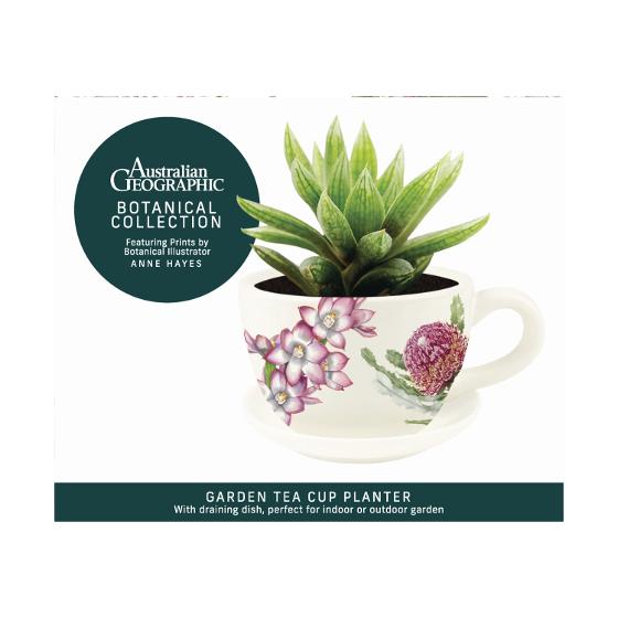 Australian Geographic 'Botanical' Garden Tea Cup Planter – Floral product photo Internal 4 DETAILS