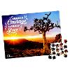Calm 300-Piece Mindful Puzzle – Quiver Tree product photo Internal 2 THUMBNAIL