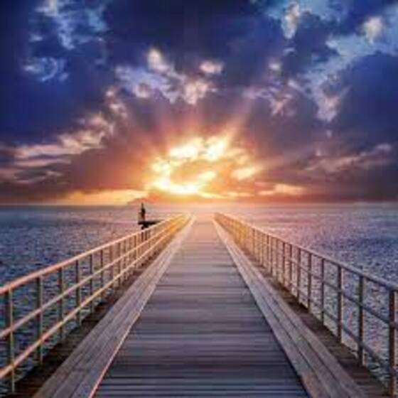 $1 - Lord Howe Island product photo Internal 12 DETAILS