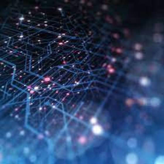 $1 - Lord Howe Island product photo Internal 6 DETAILS