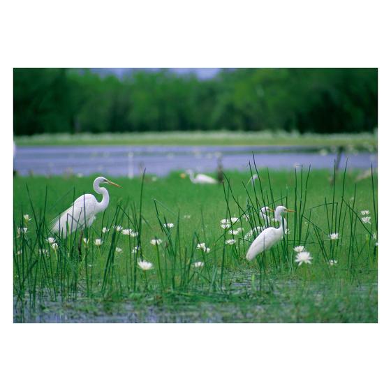 Australian Geographic Weekly 2023 Diary product photo Internal 7 DETAILS