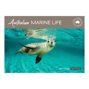 Australian Marine Life 2023 Calendar product photo