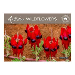 Australian Wildflowers 2023 Calendar product photo