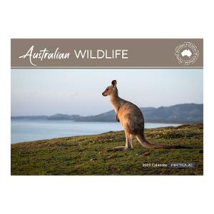 Australian Wildlife 2023 Calendar product photo