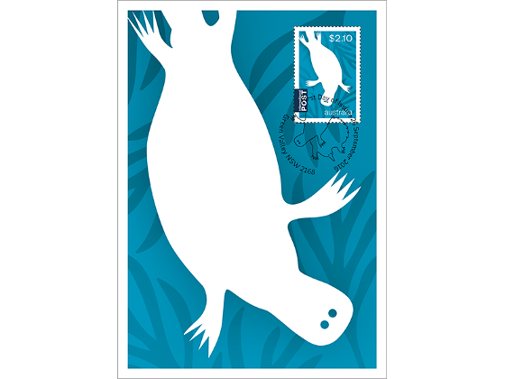 Set of Two Australian Animals Monotremes Maxicards product photo Internal 2 DETAILS