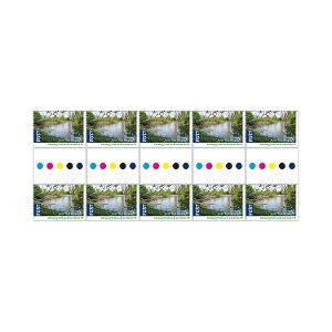 Gutter Strip of 10x 20c Cobourg Peninsula Wetlands NT International Stamps product photo