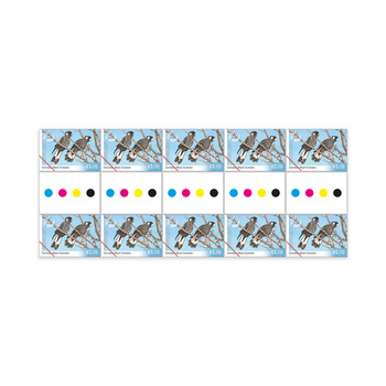 Endangered Birds Gutter Strip 10 x $1.70 &ndash; Carnaby&rsquo;s Black Cockatoo product photo