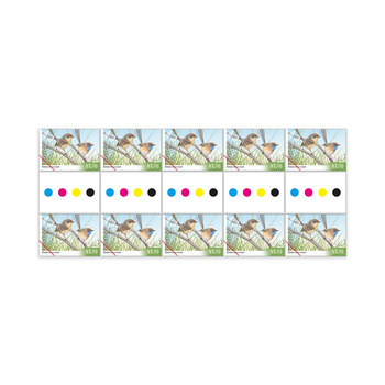 Endangered Birds Gutter Strip 10 x $1.70 &ndash; Mallee Emu-Wren product photo