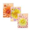 Dahlias Australian Cultivars Maxicard (Set of 3) product photo Internal 1 THUMBNAIL