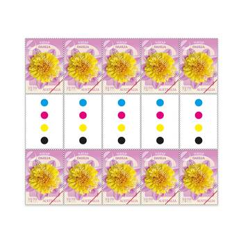 Dahlias Australian Cultivars Gutter Strip &ndash; 10 x $1.70 Nayap product photo