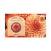 Dahlias Australian Cultivars Medallion Cover product photo Internal 1 THUMBNAIL