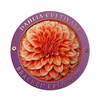 Dahlias Australian Cultivars Medallion Cover product photo Internal 5 THUMBNAIL