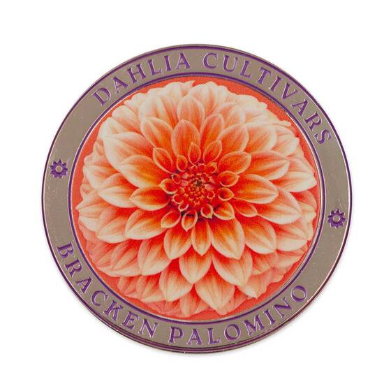 Dahlias Australian Cultivars Medallion Cover product photo Internal 6 DETAILS