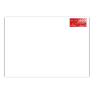 Prepaid Envelope Large (C4) up to 500g – 10 Pack product photo