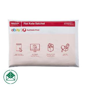 eBay Satchel Medium – 10 Pack product photo