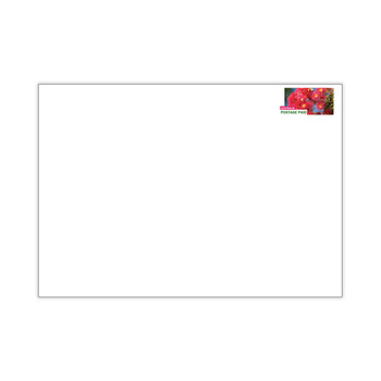 Prepaid Envelope Large (B4) up to 500g &ndash; 10 Pack product photo