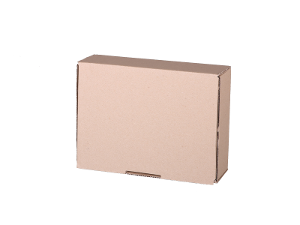 Plain Mailing Box BXP1 (220 x 160 x 77mm) – 20 Pack product photo
