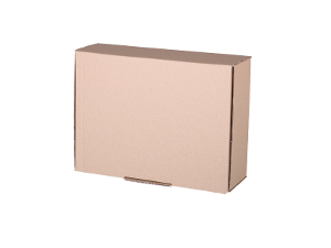 Plain Mailing Box BXP2 (310 x 225x 102mm) – 20 Pack product photo